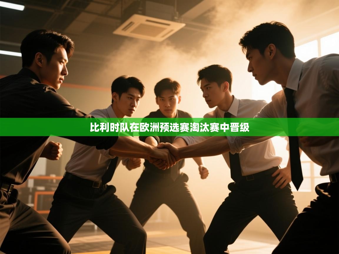 比利时队在欧洲预选赛淘汰赛中晋级 第2张