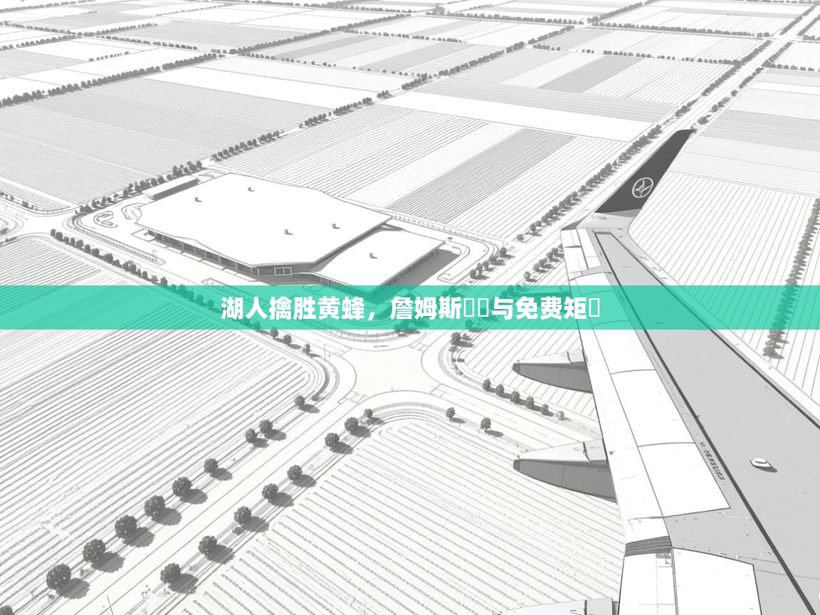 湖人擒胜黄蜂，詹姆斯動畫与免费矩陣