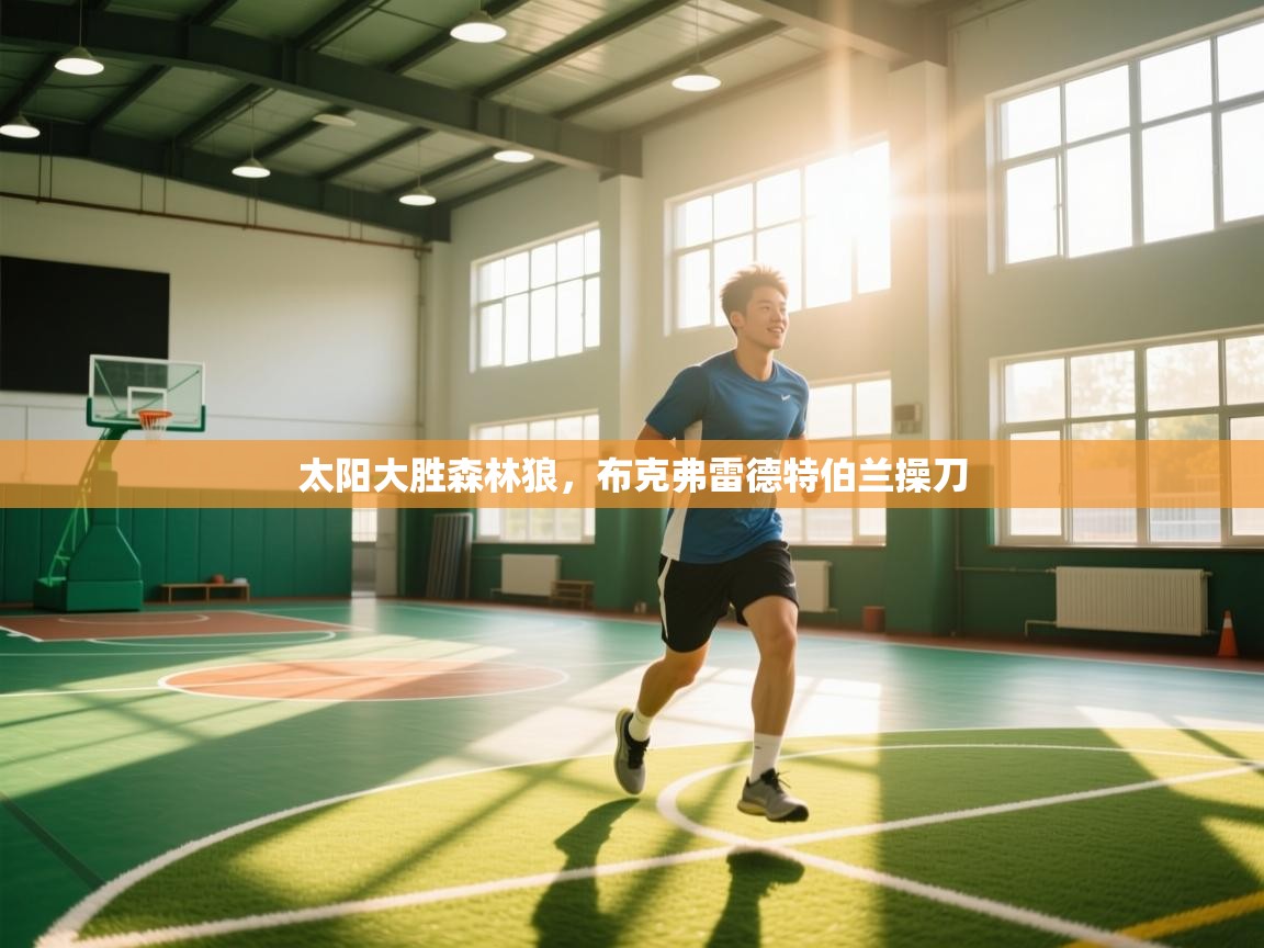 太阳大胜森林狼，布克弗雷德特伯兰操刀  第2张