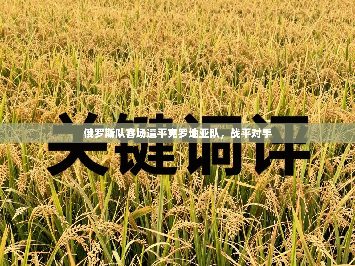 俄罗斯队客场逼平克罗地亚队，战平对手  第1张