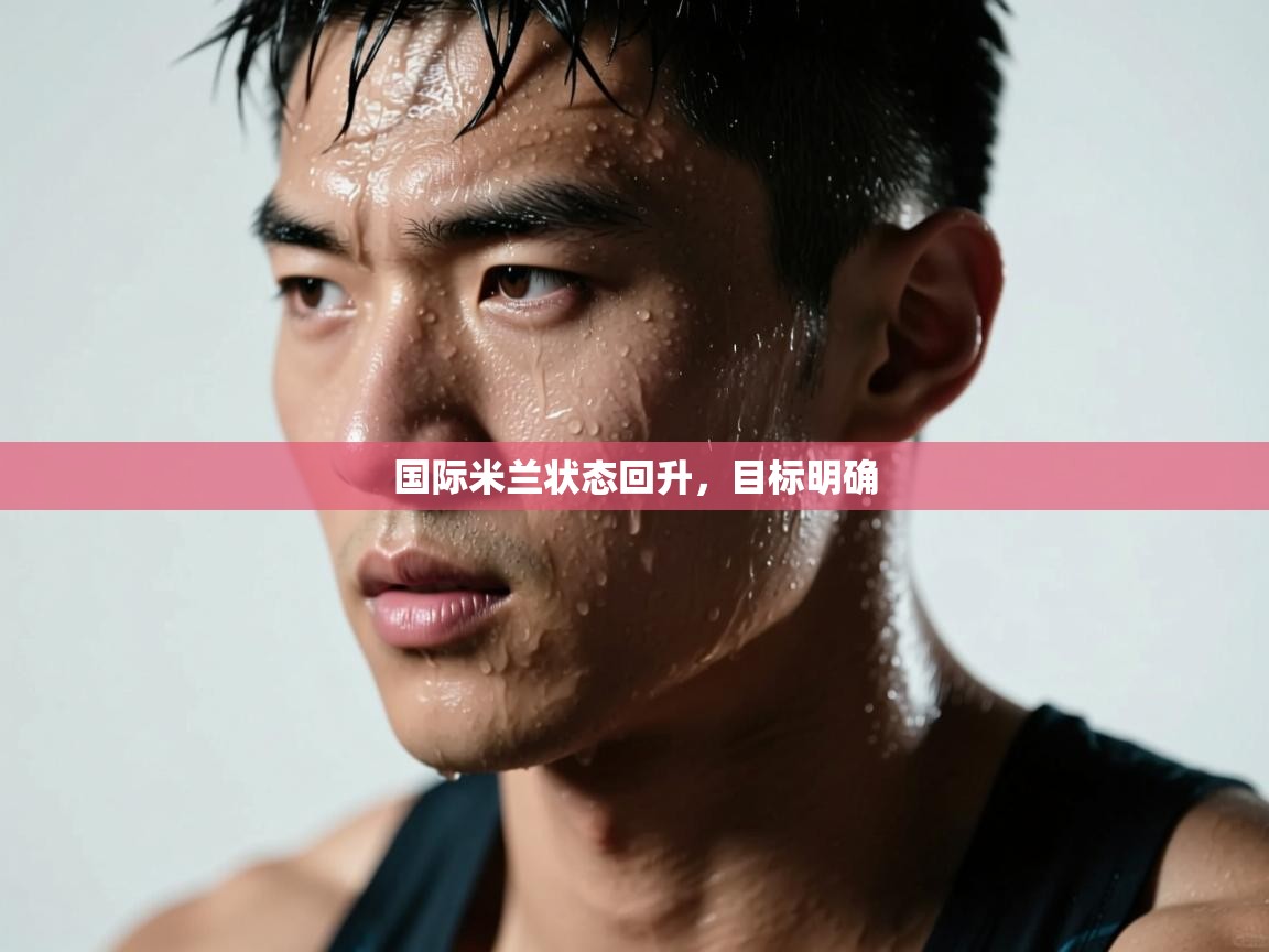 国际米兰状态回升，目标明确  第2张