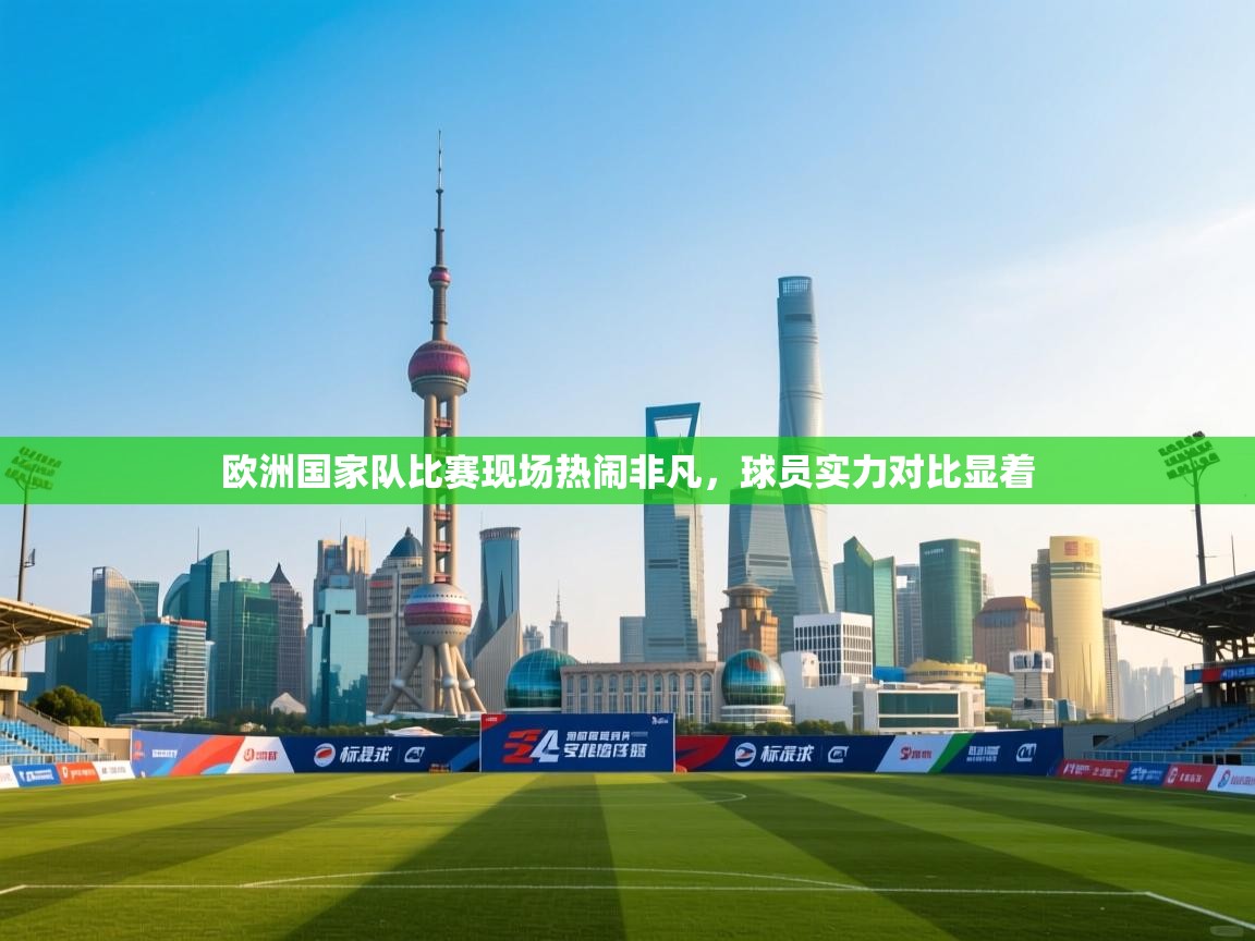 欧洲国家队比赛现场热闹非凡，球员实力对比显着  第2张
