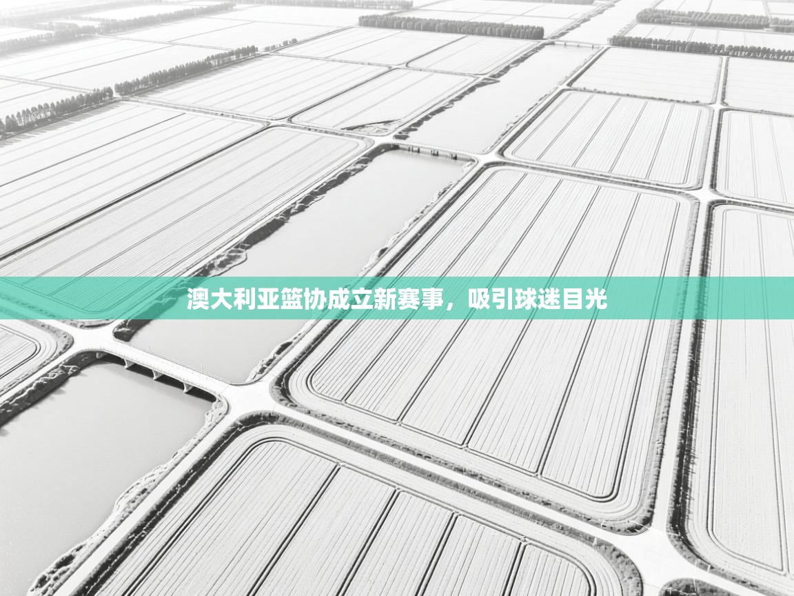 澳大利亚篮协成立新赛事，吸引球迷目光