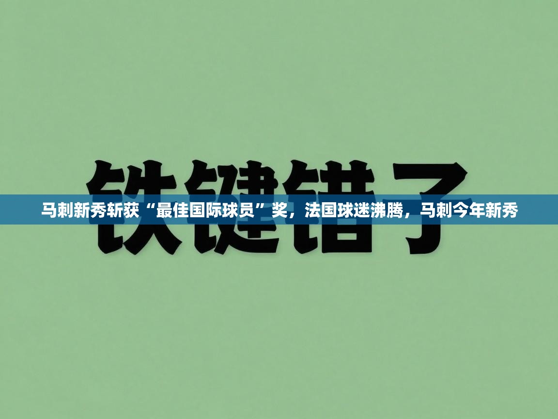 马刺新秀斩获“最佳国际球员”奖，法国球迷沸腾，马刺今年新秀  第2张